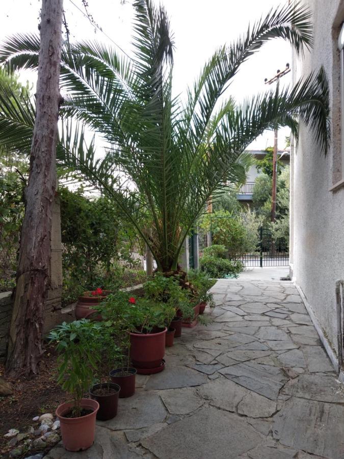 Velikis Apartments Toroni Exterior photo